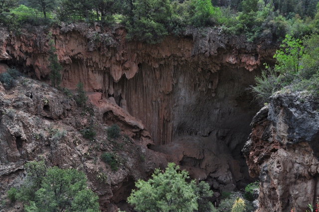 an osprey nest in the travertine